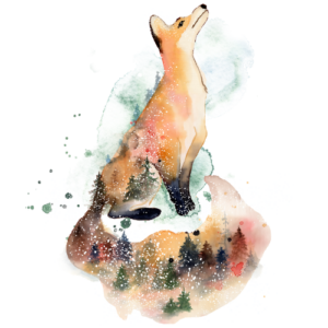 watercolor fox